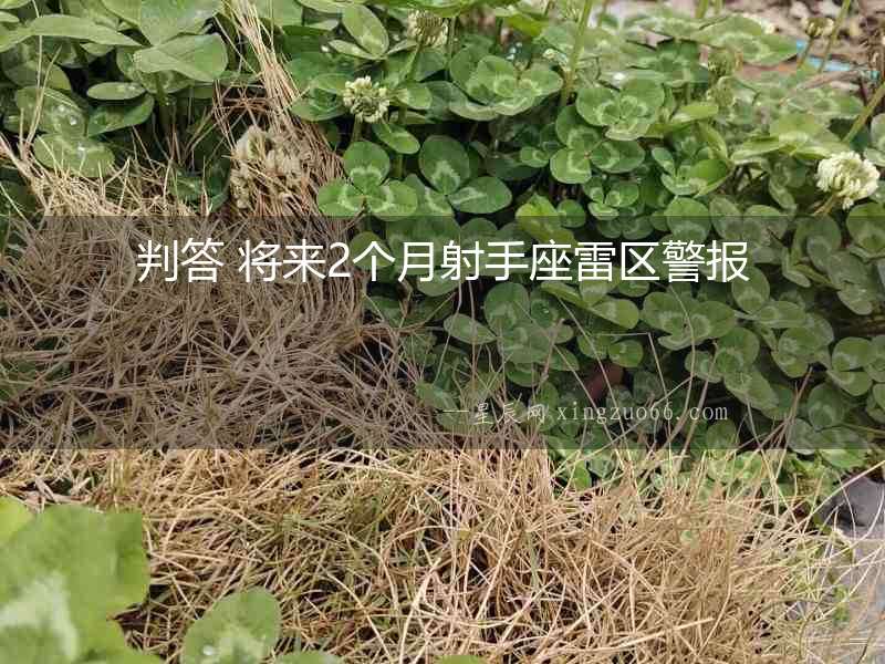 判答 將來2個月射手座雷區警報