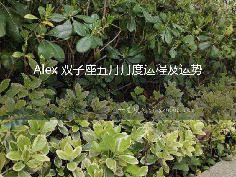 Alex 雙子座五月月度運(yùn)程及運(yùn)勢