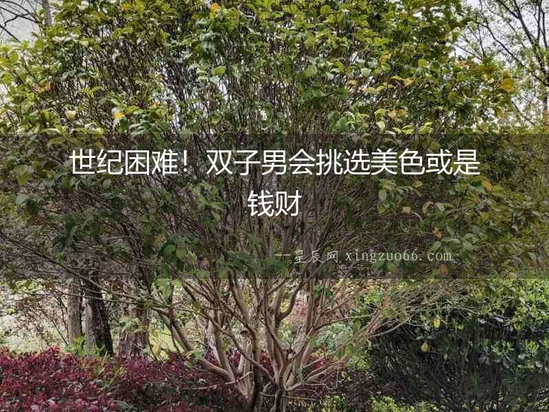 世紀困難！雙子男會挑選美色或是錢財