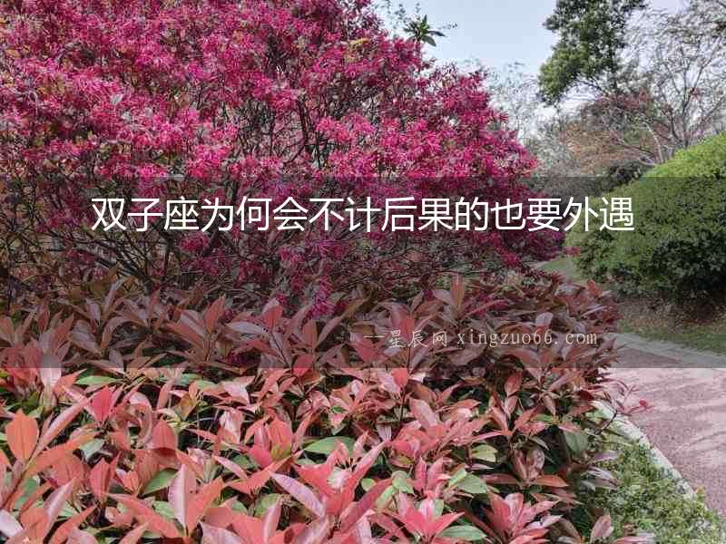 雙子座為何會(huì)不計(jì)后果的也要外遇