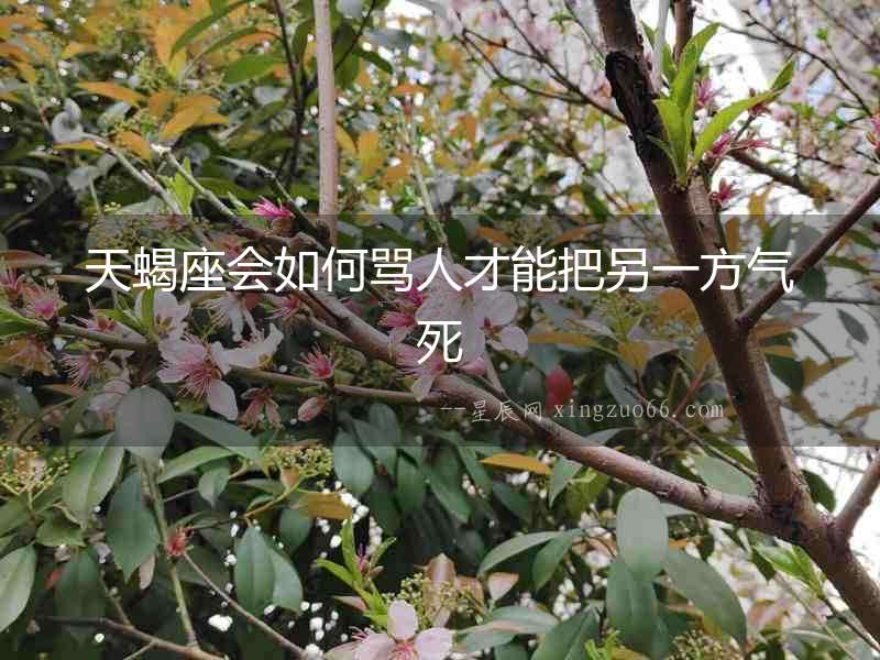 天蝎座會(huì)如何罵人才能把另一方氣死