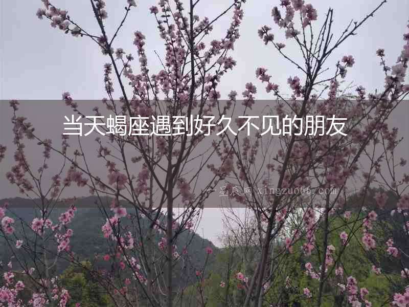 當天蝎座遇到好久不見的朋友