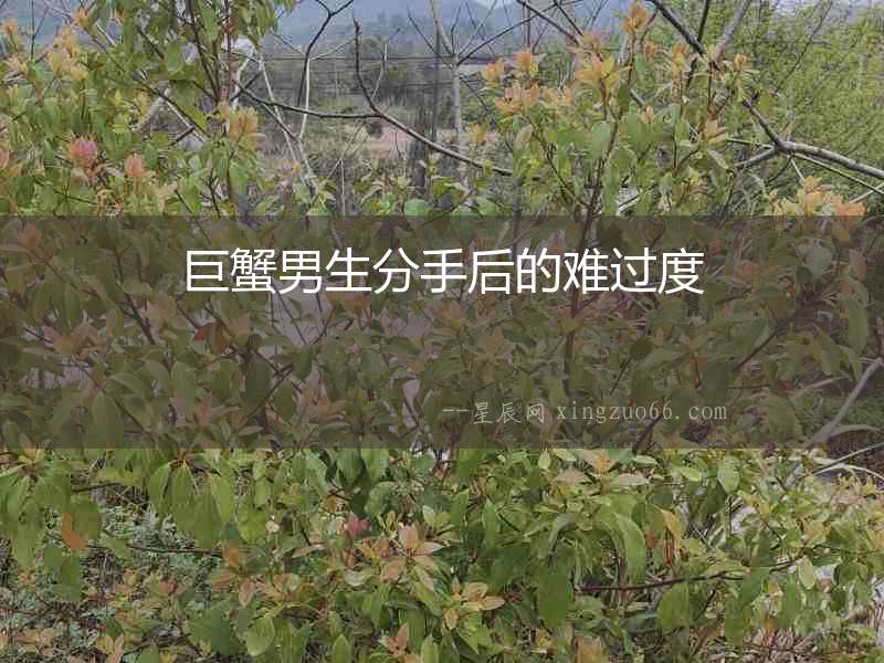 巨蟹男生分手后的難過(guò)度
