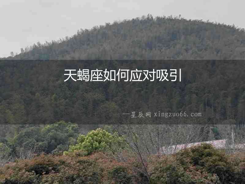天蝎座如何應對吸引
