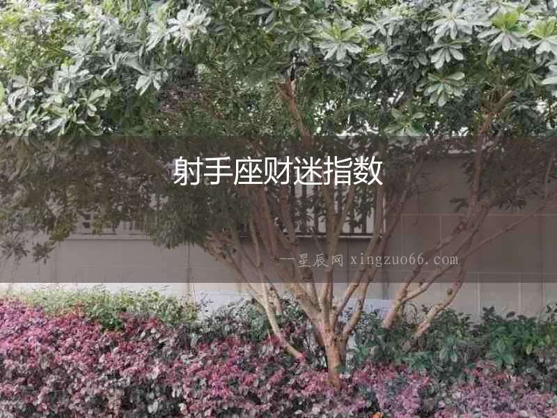 射手座財(cái)迷指數(shù)