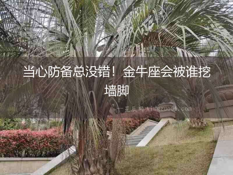 當心防備總沒錯！金牛座會被誰挖墻腳