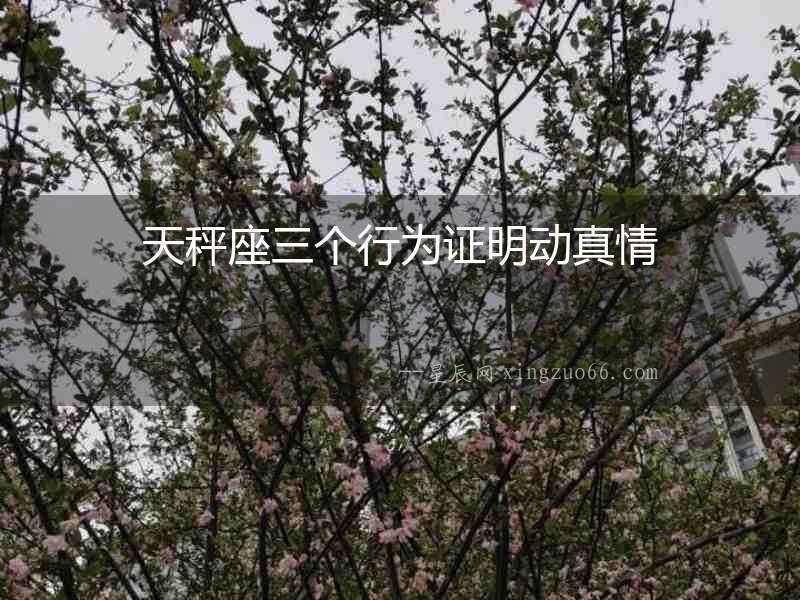 天秤座三個行為證明動真情