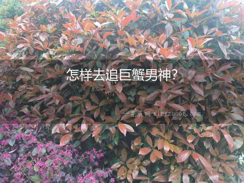怎樣去追巨蟹男神？
