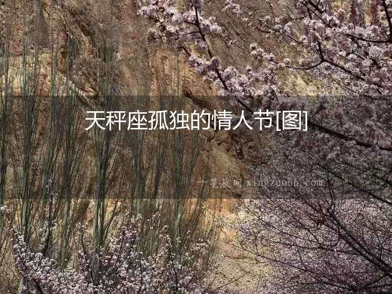 天秤座孤獨(dú)的情人節(jié)[圖]