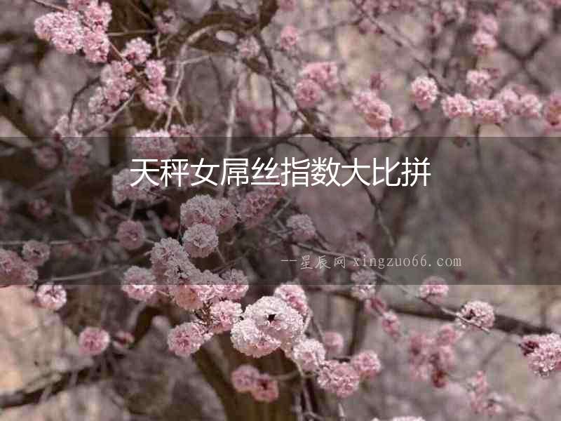 天秤女屌絲指數大比拼