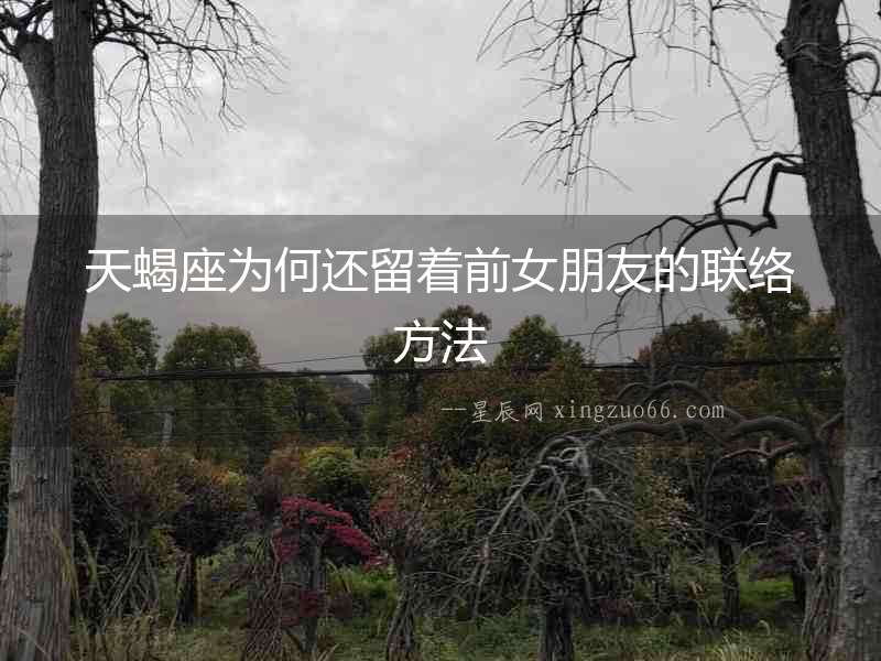 天蝎座為何還留著前女朋友的聯(lián)絡(luò)方法