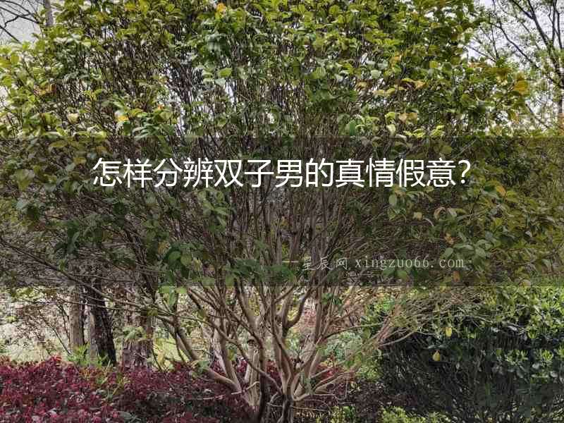 怎樣分辨雙子男的真情假意？