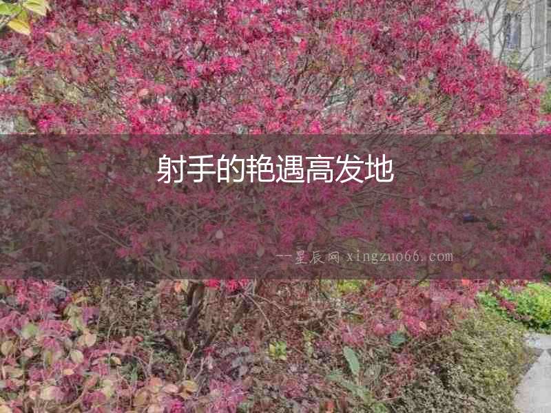 射手的艷遇高發(fā)地