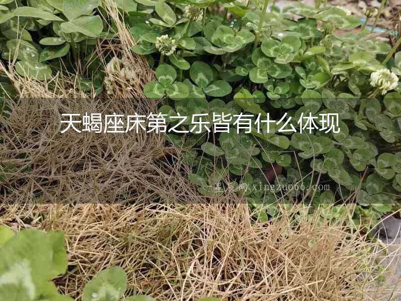 天蝎座床第之樂皆有什么體現(xiàn)