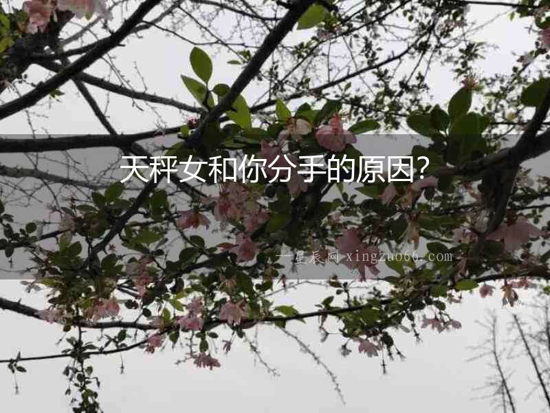 天秤女和你分手的原因？