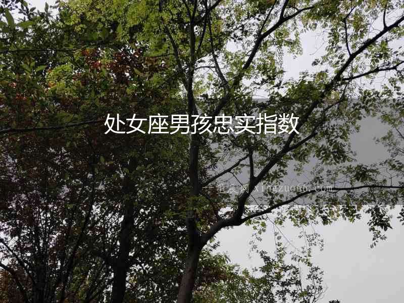 處女座男孩忠實(shí)指數(shù)