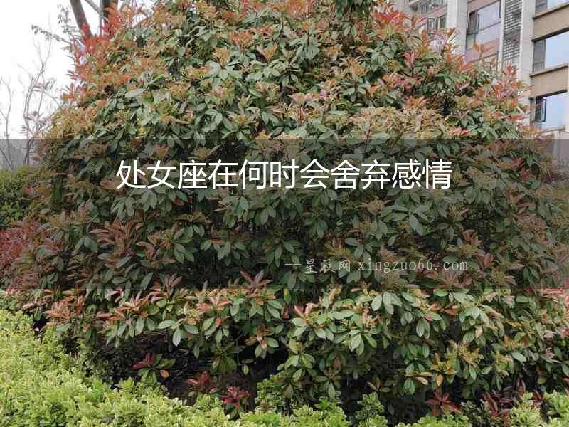 處女座在何時會舍棄感情