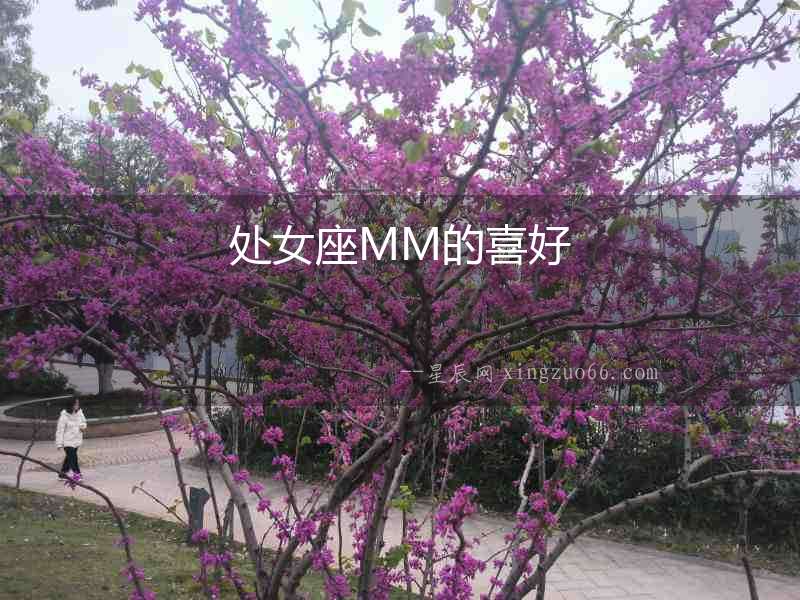 處女座MM的喜好