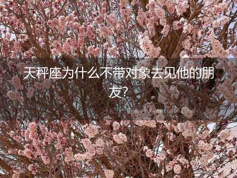 天秤座為什么不帶對象去見他的朋友？