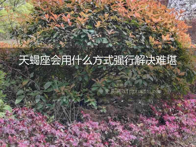 天蝎座會(huì)用什么方式強(qiáng)行解決難堪