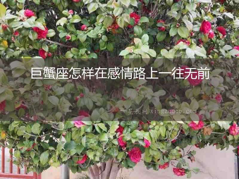 巨蟹座怎樣在感情路上一往無(wú)前