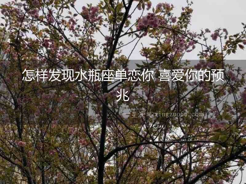 怎樣發現水瓶座單戀你 喜愛你的預兆