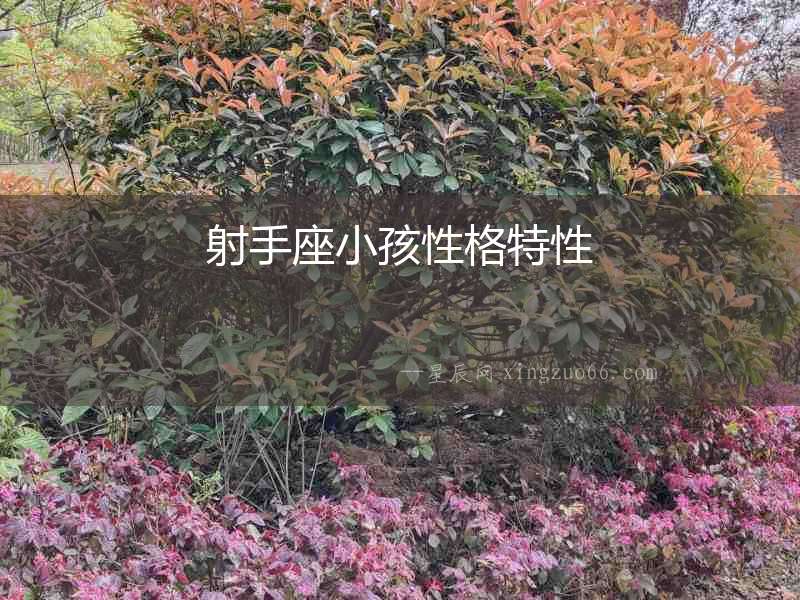 射手座小孩性格特性