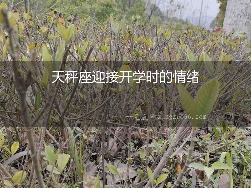 天秤座迎接開(kāi)學(xué)時(shí)的情緒
