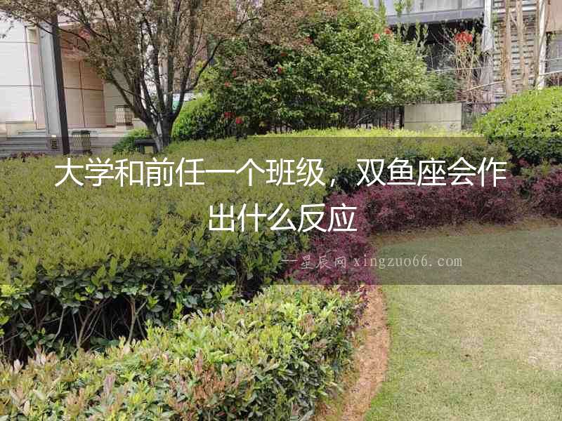 大學(xué)和前任一個(gè)班級(jí)，雙魚座會(huì)作出什么反應(yīng)