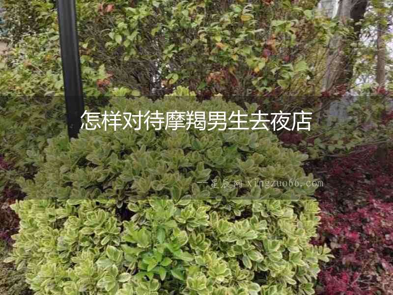怎樣對待摩羯男生去夜店