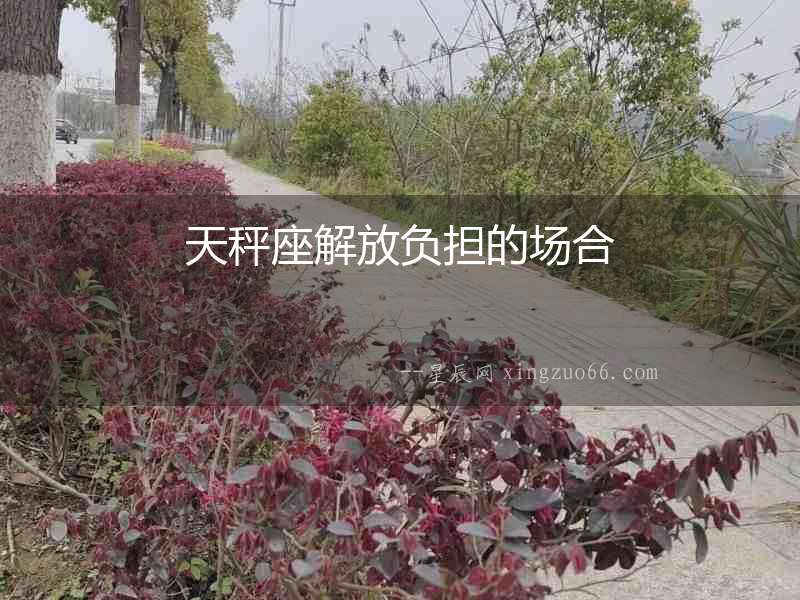 天秤座解放負擔的場合