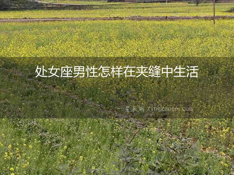 處女座男性怎樣在夾縫中生活