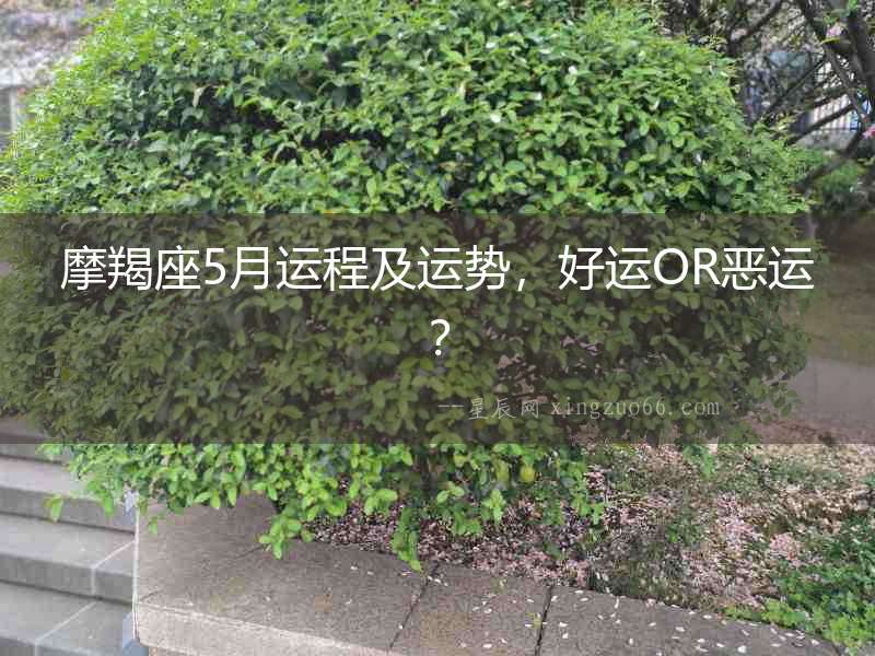 摩羯座5月運程及運勢，好運OR惡運？