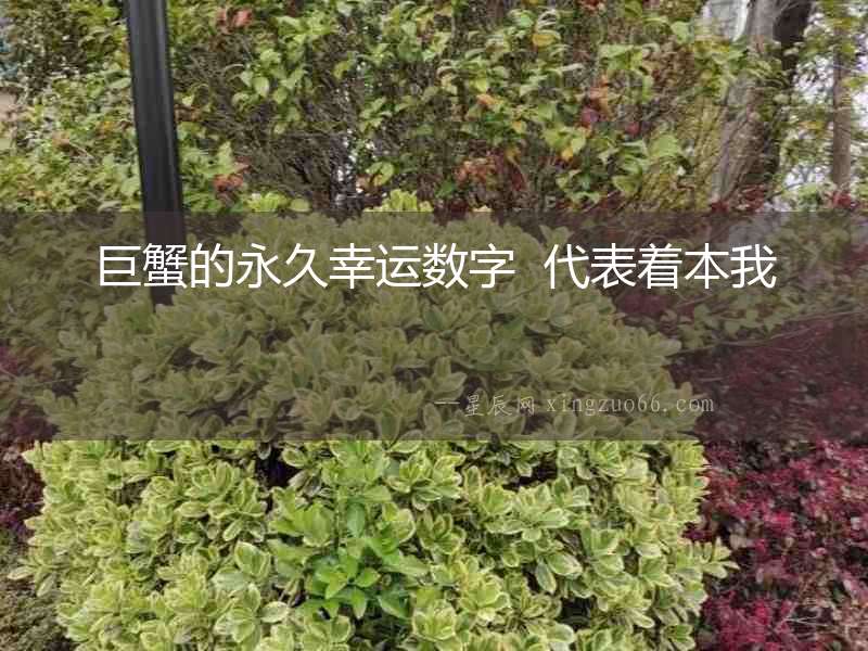 巨蟹的永久幸運數字  代表著本我