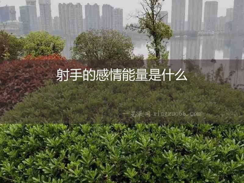 射手的感情能量是什么