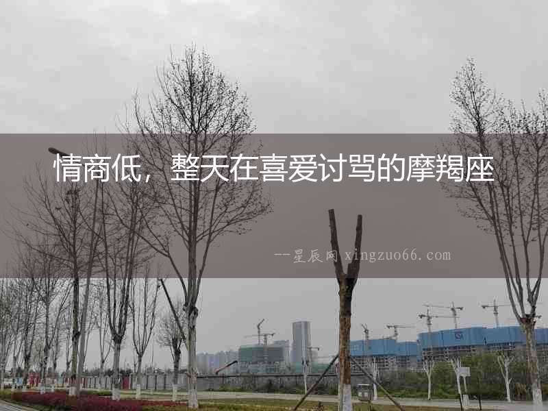 情商低，整天在喜愛討罵的摩羯座