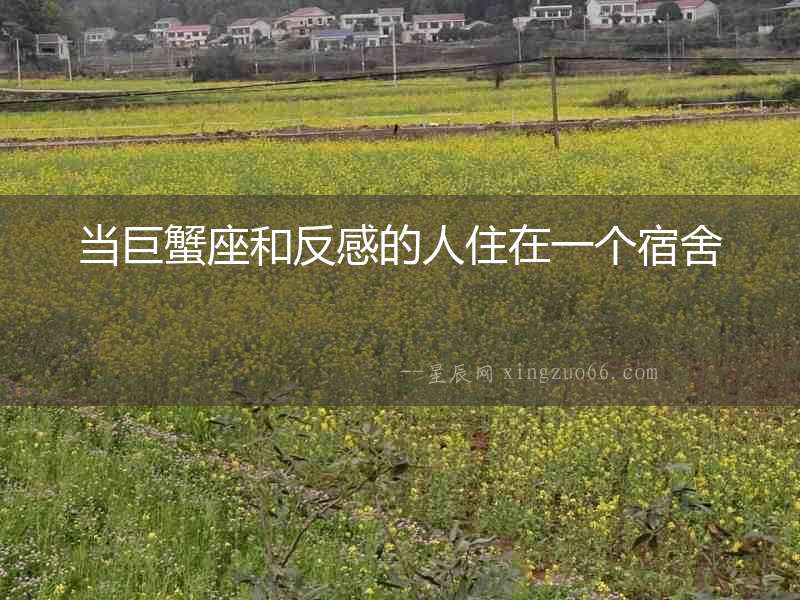 當(dāng)巨蟹座和反感的人住在一個(gè)宿舍