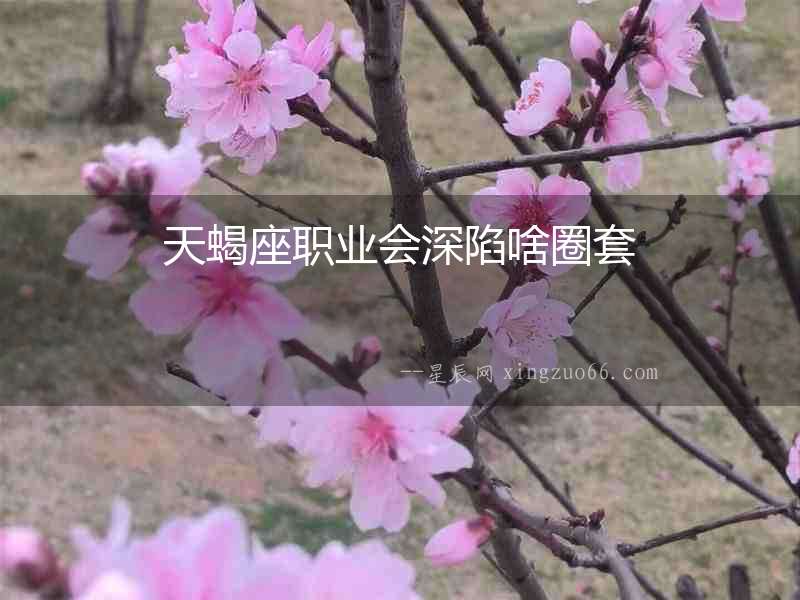 天蝎座職業(yè)會深陷啥圈套