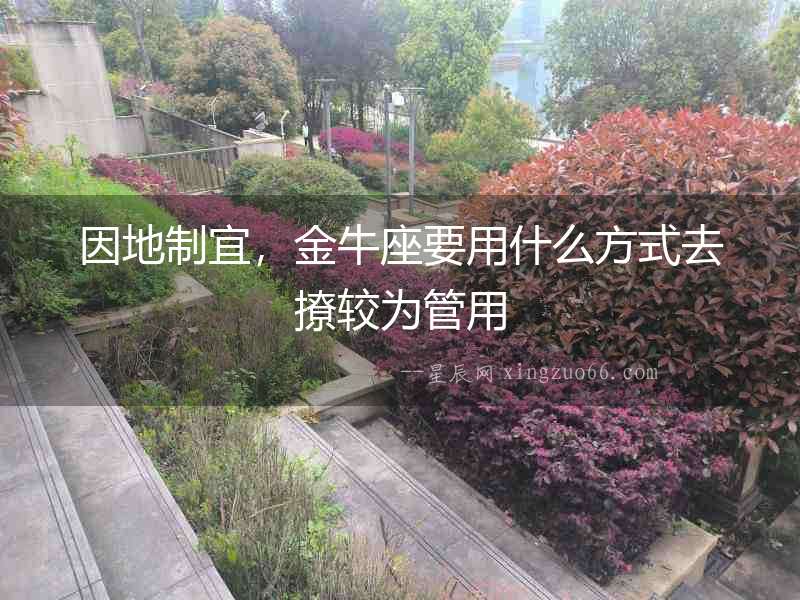因地制宜，金牛座要用什么方式去撩較為管用