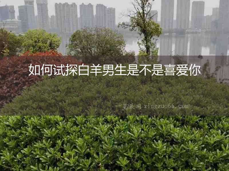 如何試探白羊男生是不是喜愛(ài)你