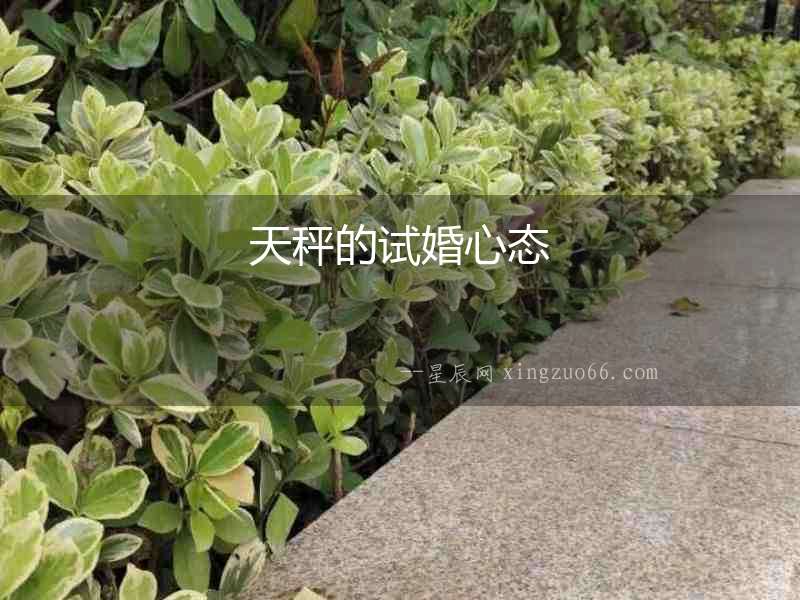 天秤的試婚心態