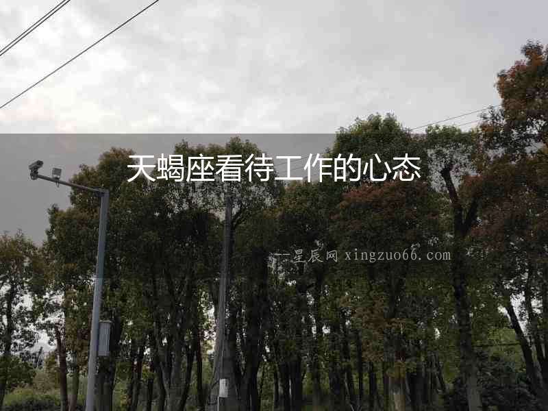 天蝎座看待工作的心態(tài)