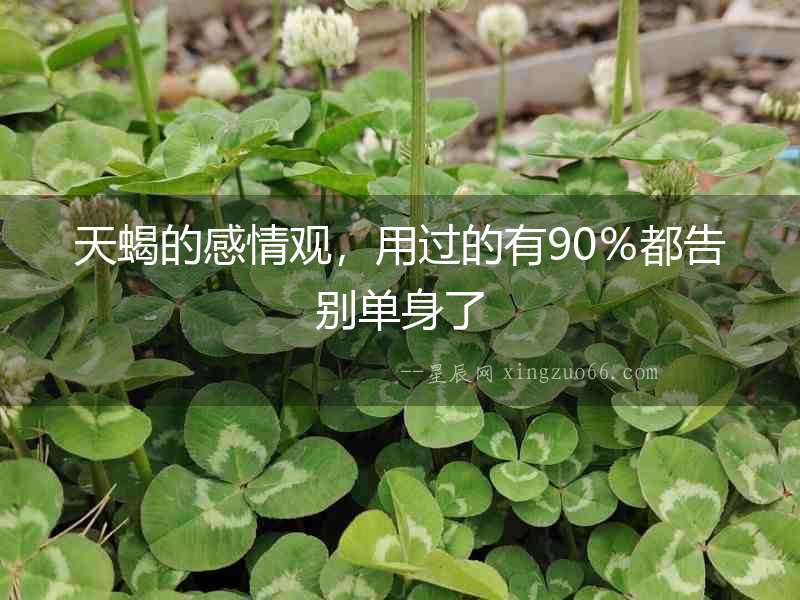 天蝎的感情觀，用過的有90％都告別單身了