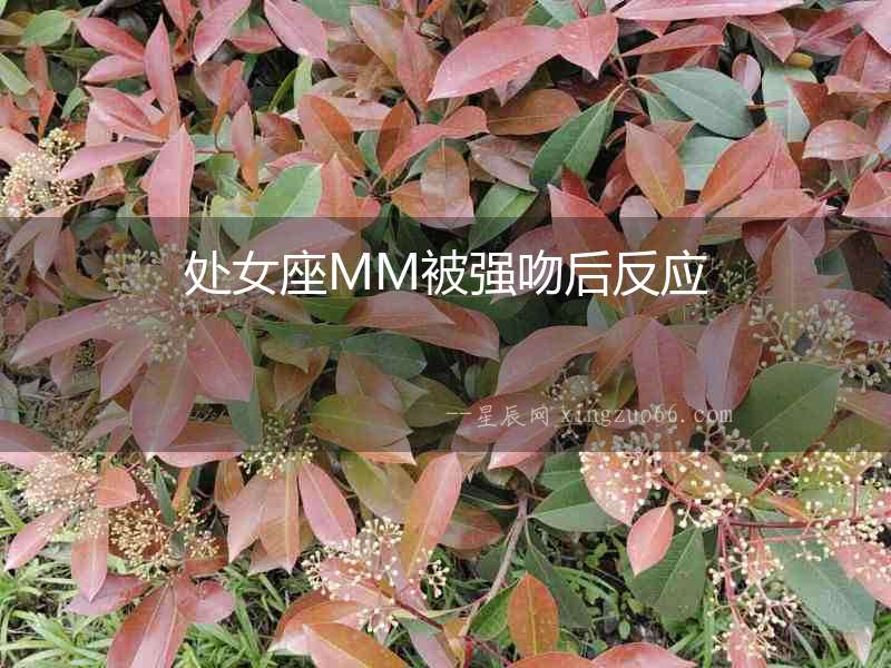 處女座MM被強(qiáng)吻后反應(yīng)