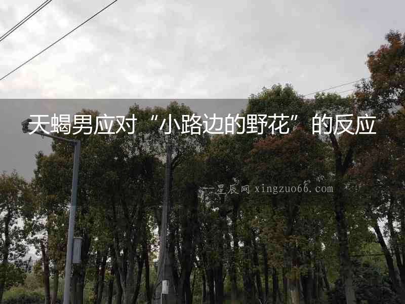 天蝎男應(yīng)對(duì)“小路邊的野花”的反應(yīng)