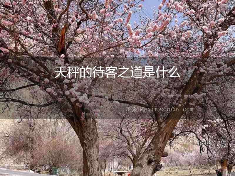 天秤的待客之道是什么