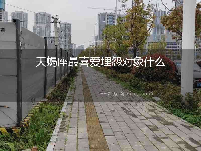天蝎座最喜愛埋怨對象什么