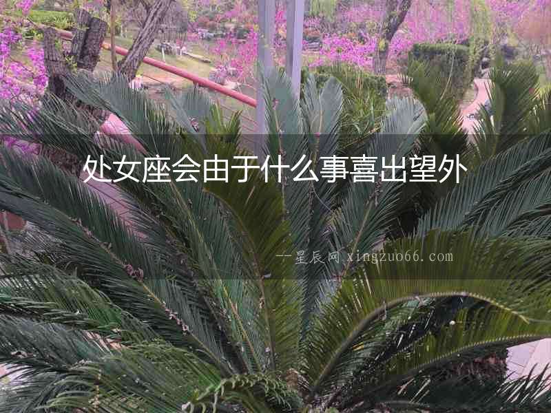 處女座會由于什么事喜出望外