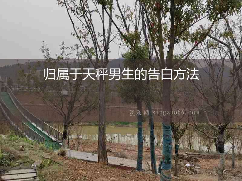 歸屬于天秤男生的告白方法