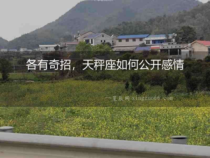 各有奇招，天秤座如何公開感情